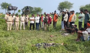 Maihar में जंगली हाथी का कहर: खेत में सो रहे किसान को कुचला