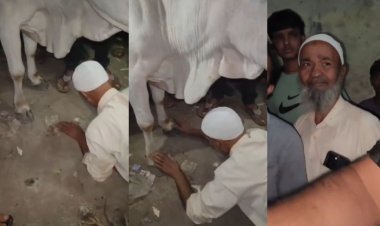 Guna News : सड़क पर बैठी गाय को हटाने के लिए मारी लात, लोगों ने कराया माफीनामा