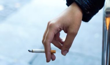 Passive Smoking : भारत में हर साल 3 लाख से ज्यादा मौतें, जानें पैसिव स्मोकिंग का खतरा