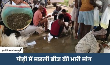 पोड़ी मत्स्य केंद्र में मछली बीज का बंपर उत्पादन: 53.98 लाख बीज की बिक्री, 2.5 करोड़ का लक्ष्य