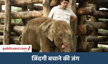 जंगलों की रक्षा करने वाले मृदुल कुमार पाठक अब अपनी जिंदगी बचाने की लड़ रहे हैं जंग