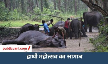 बांधवगढ़ में गजराजों का ‘छुट्टी’ वाला उत्सव, नन्हे कृष्णा ने लूटी महफिल