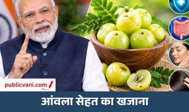 Amla Benefits : आंवला क्यों है सेहत के लिए खास? जानें इसके फायदे