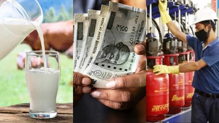 1 सितंबर से महंगाई का असर: LPG सिलेंडर, Tata-Hyundai की कारें और मुंबई में दूध महंगा, जानें क्या-क्या बदला
