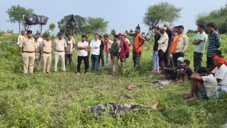 Maihar में जंगली हाथी का कहर: खेत में सो रहे किसान को कुचला