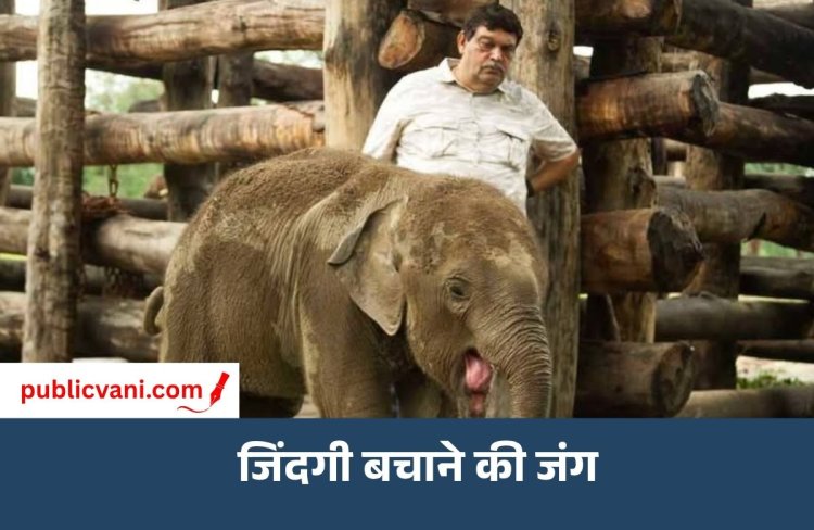 जंगलों की रक्षा करने वाले मृदुल कुमार पाठक अब अपनी जिंदगी बचाने की लड़ रहे हैं जंग