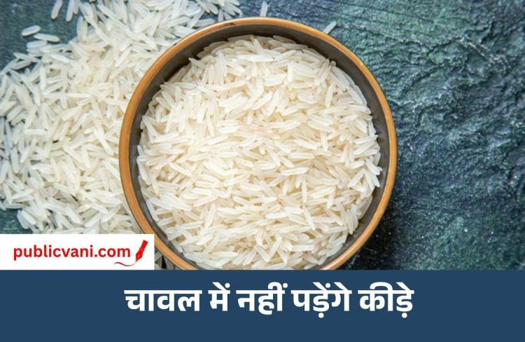 सालों- साल चलेंगे चावल: इन तरीकों को अपनाकर बढ़ाएं चावल की सेहत