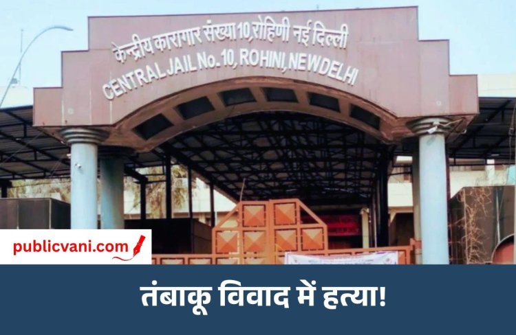 Delhi Rohini Jail Murder : रोहिणी जेल में मर्डर, धारदार हथियार से विचाराधीन कैदी पर हमला
