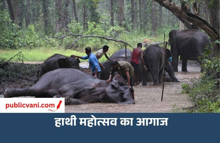 बांधवगढ़ में गजराजों का ‘छुट्टी’ वाला उत्सव, नन्हे कृष्णा ने लूटी महफिल