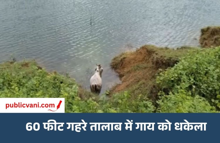 रीवा में पशु क्रूरता: 60 फीट गहरे तालाब में गाय को धकेलने का आरोप, ग्रामीणों में आक्रोश