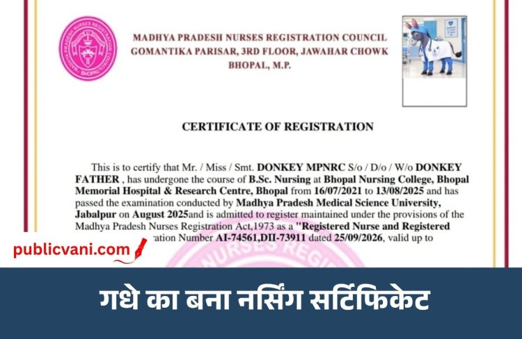 फर्जी नर्सिंग रजिस्ट्रेशन का नया खेल: MP में गधे का बना सर्टिफिकेट, ₹2050 फीस भरते ही रजिस्ट्रेशन नंबर जारी