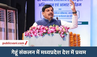 3357 कर्मचारियों को मिली पदोन्नति : सीएम डॉ. मोहन यादव ने दिए अनुकंपा नियुक्ति पत्र, बोले - कृषि विभाग परिवर्तन का प्रतीक