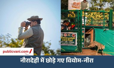 सीएम डॉ. मोहन ने नौरादेही सेंचुरी में छोड़े 'वियोम और नीरा,' कहा- चीतों की बसाहट के लिए सबसे बेहतर है मध्यप्रदेश