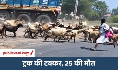 गुजरात के मोरबी में दर्दनाक हादसा: ट्रक की चपेट में आने से 23 भेड़ और 2 बकरियों की मौत, 30 घायल