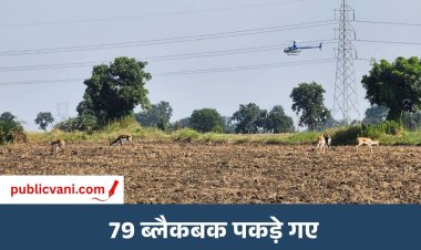 Shajapur में कृष्णमृग रेस्क्यू अभियान: दूसरे दिन हन्नूखेड़ी में 79 ब्लैकबक पकड़े गए