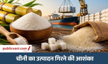 USDA ने डराया : अल-नीनो के असर से गन्ने की फसल को नुकसान, महंगी हो सकती है शक्कर