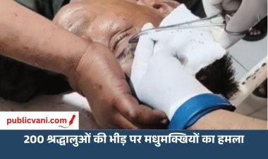 200 श्रद्धालुओं की भीड़ पर मधुमक्खियों का हमला, 40 घायल