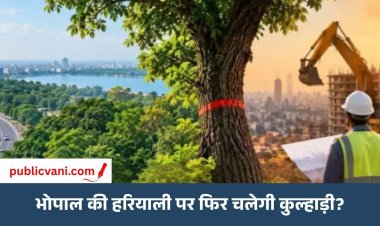 शिवाजी नगर से चार इमली तक री-डेंसिफिकेशन की तैयारी: 500 एकड़ में 60 हजार पेड़ों पर मंडराया संकट