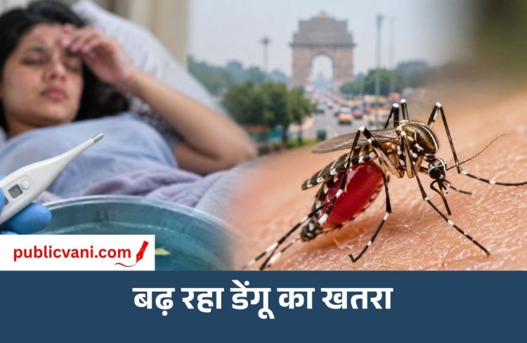 Dengue Case : दिल्ली में डेंगू के 597 केस, जानें कैसे फैलता है और कैसे करें बचाव
