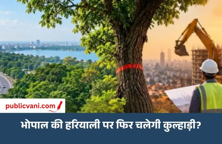 शिवाजी नगर से चार इमली तक री-डेंसिफिकेशन की तैयारी: 500 एकड़ में 60 हजार पेड़ों पर मंडराया संकट