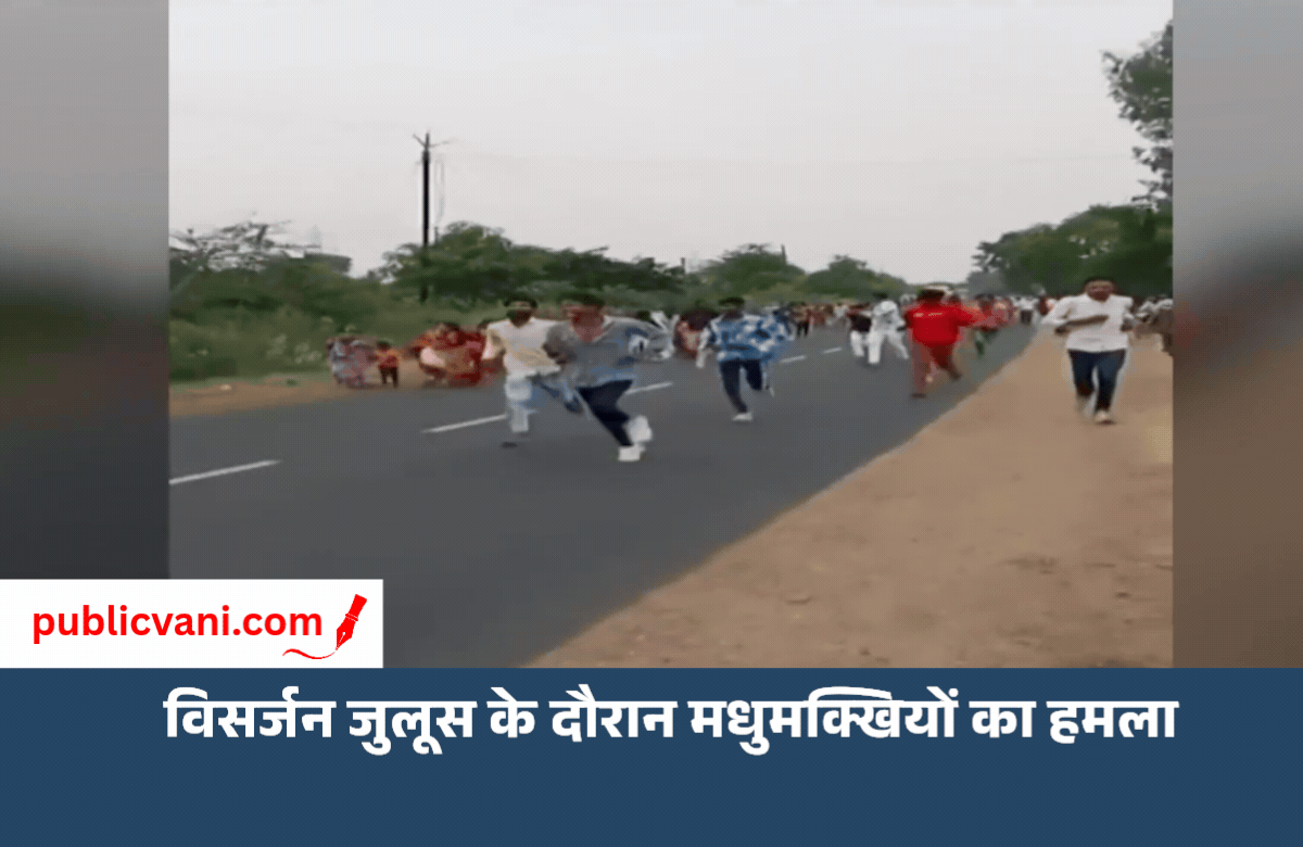 200 श्रद्धालुओं की भीड़ पर मधुमक्खियों का हमला, 40 घायल