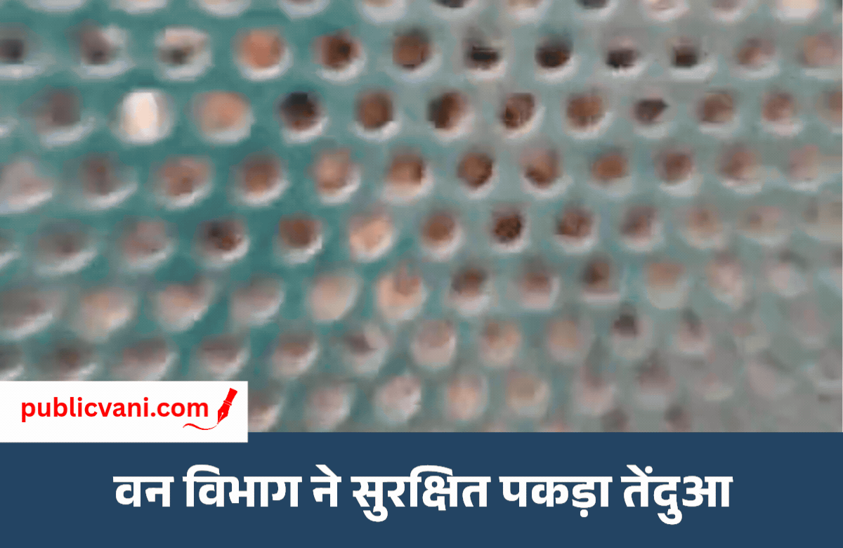 Indore Leopard Rescue : 10 दिन से घायल घूम रहे तेंदुए का रेस्क्यू, रालामंडल में चल रहा इलाज